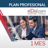 Suscripción al PLAN PROFESIONAL mensual - comprar online