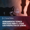 Curso Online: Herramientas teórico prácticas para el litigio con perspectiva de género