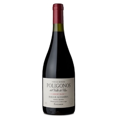 Zuccardi Polígonos Paraje de Altamira Cabernet Franc