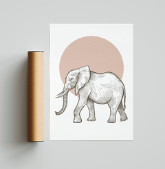África Elefante