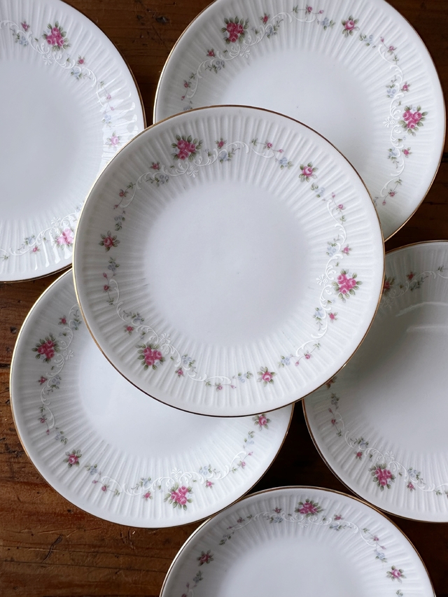 Plato porcelana hotsell