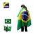 Bandeira do Brasil - Modelos