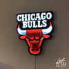 Chicago Bulls escudo led
