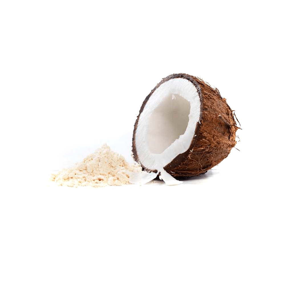 Leche de coco en polvo x 100g - Alternativa Natural