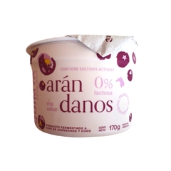 Tipo yogur a base de coco sabor arándano Quimya x 170g