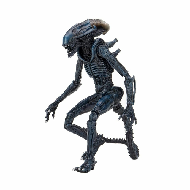 Arachnoid Alien - Alien vs Predator - 7 Scale Neca