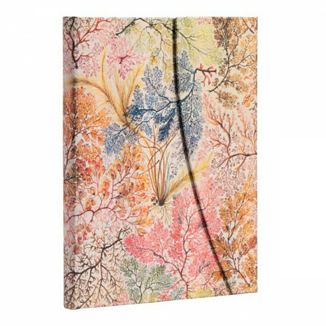 Caderno Paperblanks Anemone Ultra 23x18 Cm Capa Dura 7227-0