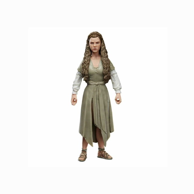 Princesa Leia Star Wars The Black Series Hasbro F4352