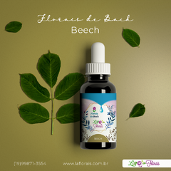 Floral de Bach - Beech 30ml - comprar online