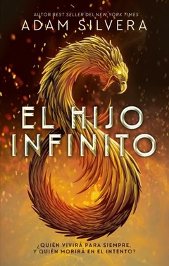 El Ciclo Infinito - 1. El Hijo Infinito