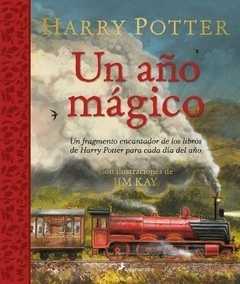 Harry Potter - Un Año Mágico