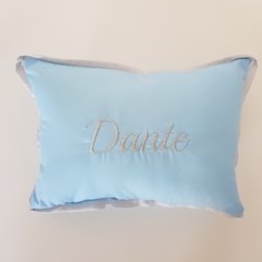 Almohada personalizada (por pedido leer demoras) - Micolecho