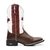 Bota Texana Masculina Bico Quadrado Marrom 7MBoots