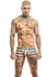 NARCISO MINI BOXER JAMES EMBLEMA MICROFIBRA - comprar online