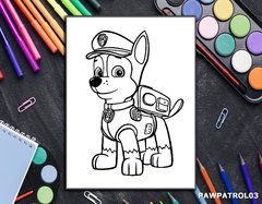 Bastidor PawPatrol en internet