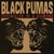 Black Pumas - Chronicles Of A Diamond (Import)