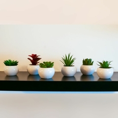Pack X6 Plantas Artificial en Maceta Cerámica Brillante Cactus Suculenta Colores - comprar online
