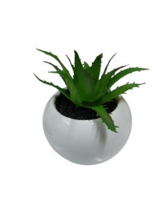 Pack X6 Plantas Artificial en Maceta Cerámica Brillante Cactus Suculenta Colores en internet