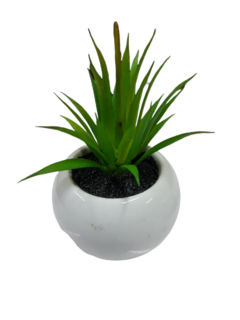 Pack X6 Plantas Artificial en Maceta Cerámica Brillante Cactus Suculenta Colores - Chill Moda