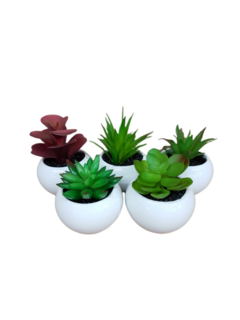 Pack X6 Plantas Artificial en Maceta Cerámica Brillante Cactus Suculenta Colores en internet