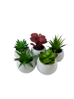 Pack X6 Plantas Artificial en Maceta Cerámica Brillante Cactus Suculenta Colores - Chill Moda