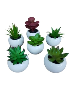 Pack X6 Plantas Artificial en Maceta Cerámica Brillante Cactus Suculenta Colores - tienda online