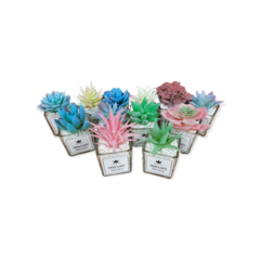 Pack X12 Plantas Artificial en Maceta Vidrio Cactus Suculenta - comprar online