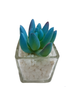 Pack X12 Plantas Artificial en Maceta Vidrio Cactus Suculenta - tienda online