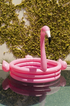 Pileta Flamingo Niños por Unidad - comprar online
