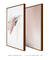 Conjunto com 2 Quadros Decorativos - Fields At Nightfall N.01 + Faded Rose N.02 - comprar online