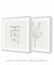 Conjunto com 2 Quadros Decorativos - Minimal Leaf 01 Quadrado + Minimal Leaf 02 Quadrado - Rachel Moya | Art Studio - Quadros Decorativos