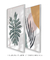 Conjunto com 2 Quadros Decorativos - Monstera Minimalista + Leaf Minimal Colors - Rachel Moya | Art Studio - Quadros Decorativos