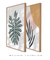 Imagem do Conjunto com 2 Quadros Decorativos - Monstera Minimalista + Leaf Minimal Colors