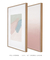 Conjunto com 2 Quadros Decorativos - Provence + Serenity Rose Díptico N.02 - loja online