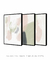 Conjunto com 3 Quadros Decorativos - Blooming + Blooming Shapes N.01+ Flora N.03