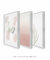 Conjunto com 3 Quadros Decorativos - Blooming + Serenity Rose Díptico N.01 + Leaf Minimal Bege - Rachel Moya | Art Studio - Quadros Decorativos