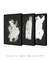 Conjunto com 3 Quadros Decorativos - BW Minimal 01 + BW Minimal 03 + BW Minimal 02 - comprar online