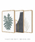 Conjunto com 3 Quadros Decorativos - Monstera Minimalista + Modern Shapes 06 + Leaf Minimal Bege - loja online