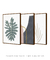 Imagem do Conjunto com 3 Quadros Decorativos - Monstera Minimalista + Modern Shapes 06 + Leaf Minimal Bege