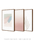 Imagem do Conjunto com 3 Quadros Decorativos - Provence + Serenity Rose Díptico N.01 + Leaf Minimal Bege