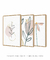 Conjunto com 3 Quadros Decorativos - Ramo Minimalista + Folhagem Boho + Simple Flower - loja online