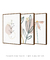 Imagem do Conjunto com 3 Quadros Decorativos - Ramo Minimalista + Folhagem Boho + Simple Flower