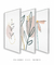 Conjunto com 3 Quadros Decorativos - Ramo Minimalista + Folhagem Boho + Simple Flower na internet