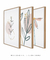 Imagem do Conjunto com 3 Quadros Decorativos - Ramo Minimalista + Folhagem Boho + Simple Flower