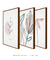 Conjunto com 3 Quadros Decorativos - Ramo Minimalista + Folhagem Boho + Simple Flower