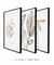 Conjunto com 3 Quadros Decorativos - Ramo Minimalista + Folhagem Boho + Simple Flower na internet