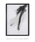 Quadro Decorativo Abstrato Soft Minimal Black Strokes 01 - comprar online