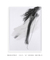 Quadro Decorativo Abstrato Soft Minimal Black Strokes 01 na internet