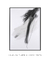 Quadro Decorativo Abstrato Soft Minimal Black Strokes 01 - Rachel Moya | Art Studio - Quadros Decorativos