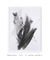 Quadro Decorativo Abstrato Soft Minimal Black Strokes 03 - Rachel Moya | Art Studio - Quadros Decorativos